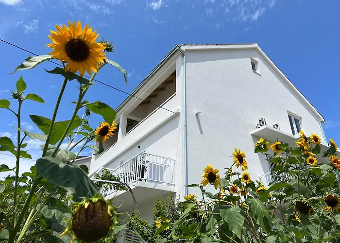 Apartments Nikola Stipisic