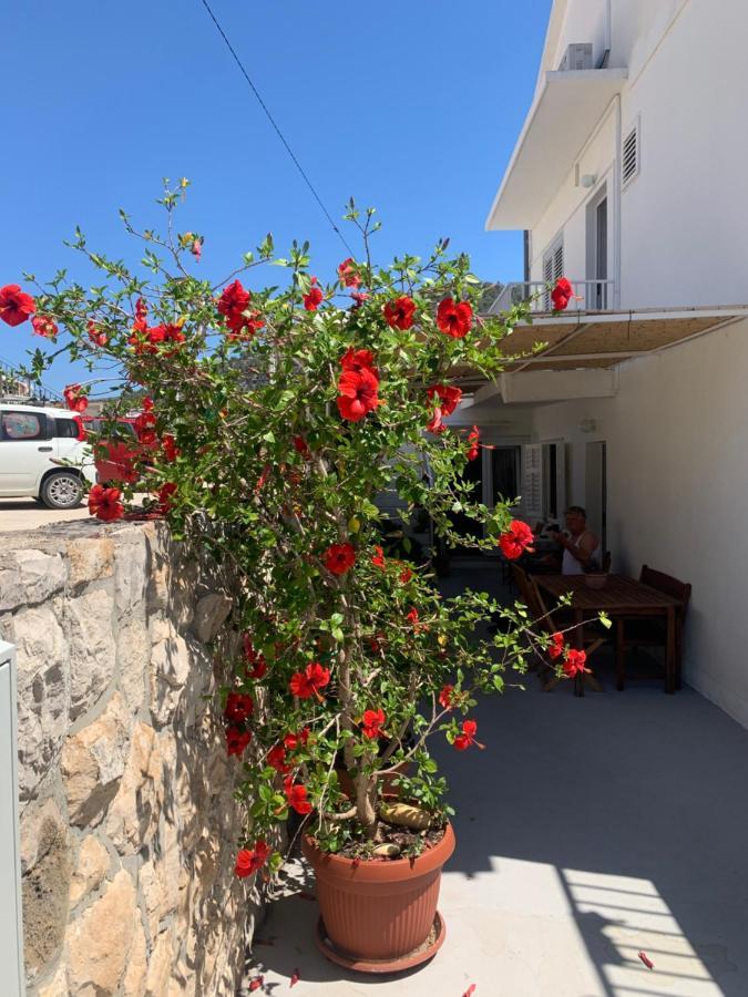 Apartament Nikola Stipisic *