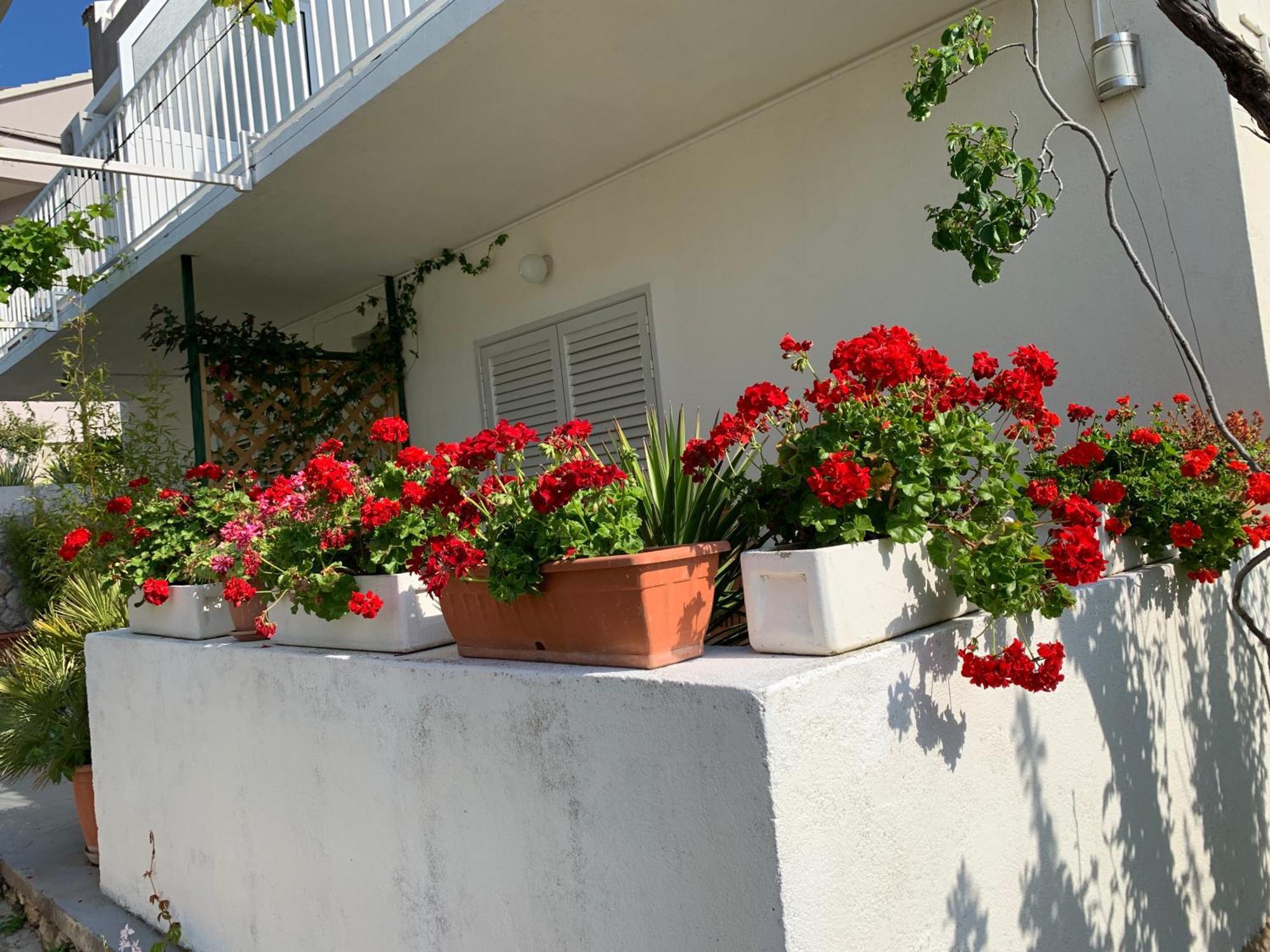 Apartment Nikola Stipisic Hvar Town
