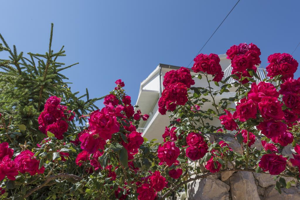 Apartament Nikola Stipisic *